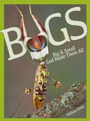 cover image of Bugs